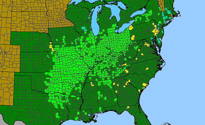 The range of Rosa setigera